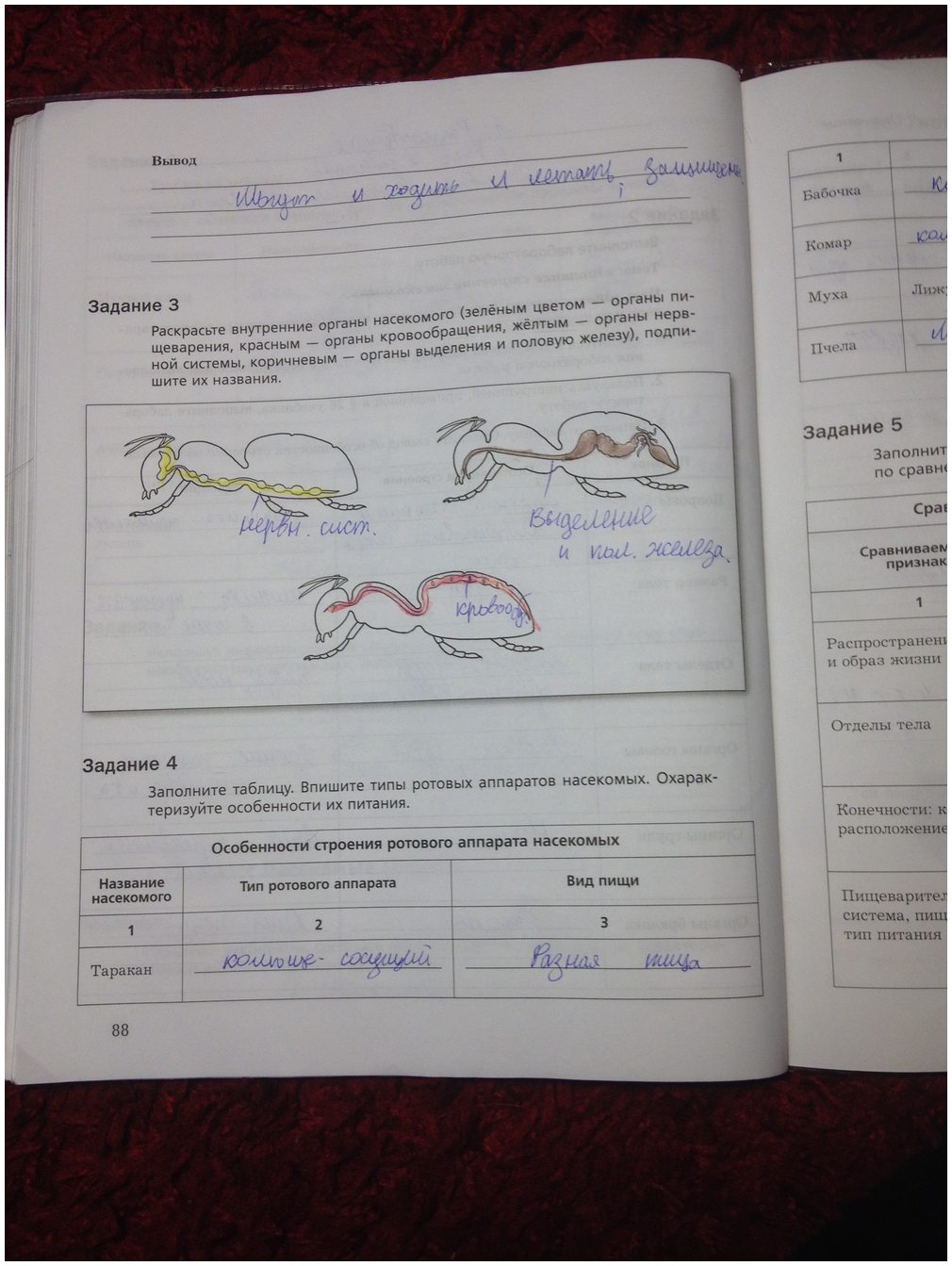 гдз 7 класс рабочая тетрадь часть 1 страница 88 биология Суматохин, Кучменко