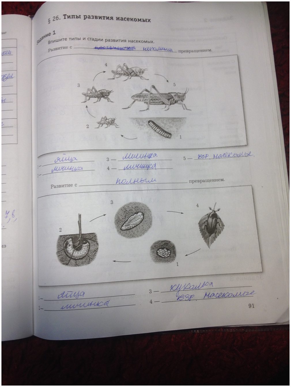гдз 7 класс рабочая тетрадь часть 1 страница 91 биология Суматохин, Кучменко
