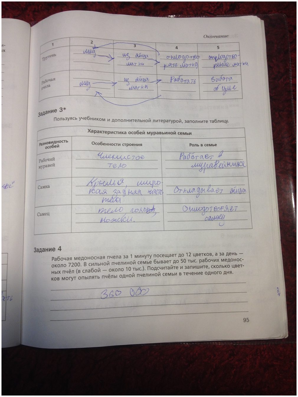 гдз 7 класс рабочая тетрадь часть 1 страница 95 биология Суматохин, Кучменко