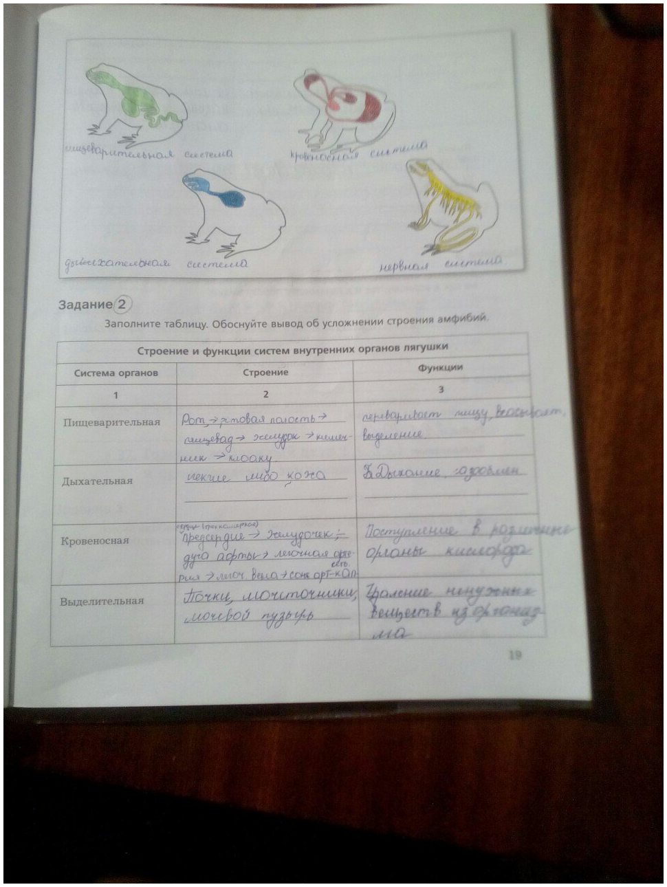 гдз 7 класс рабочая тетрадь часть 2 страница 19 биология Суматохин, Кучменко