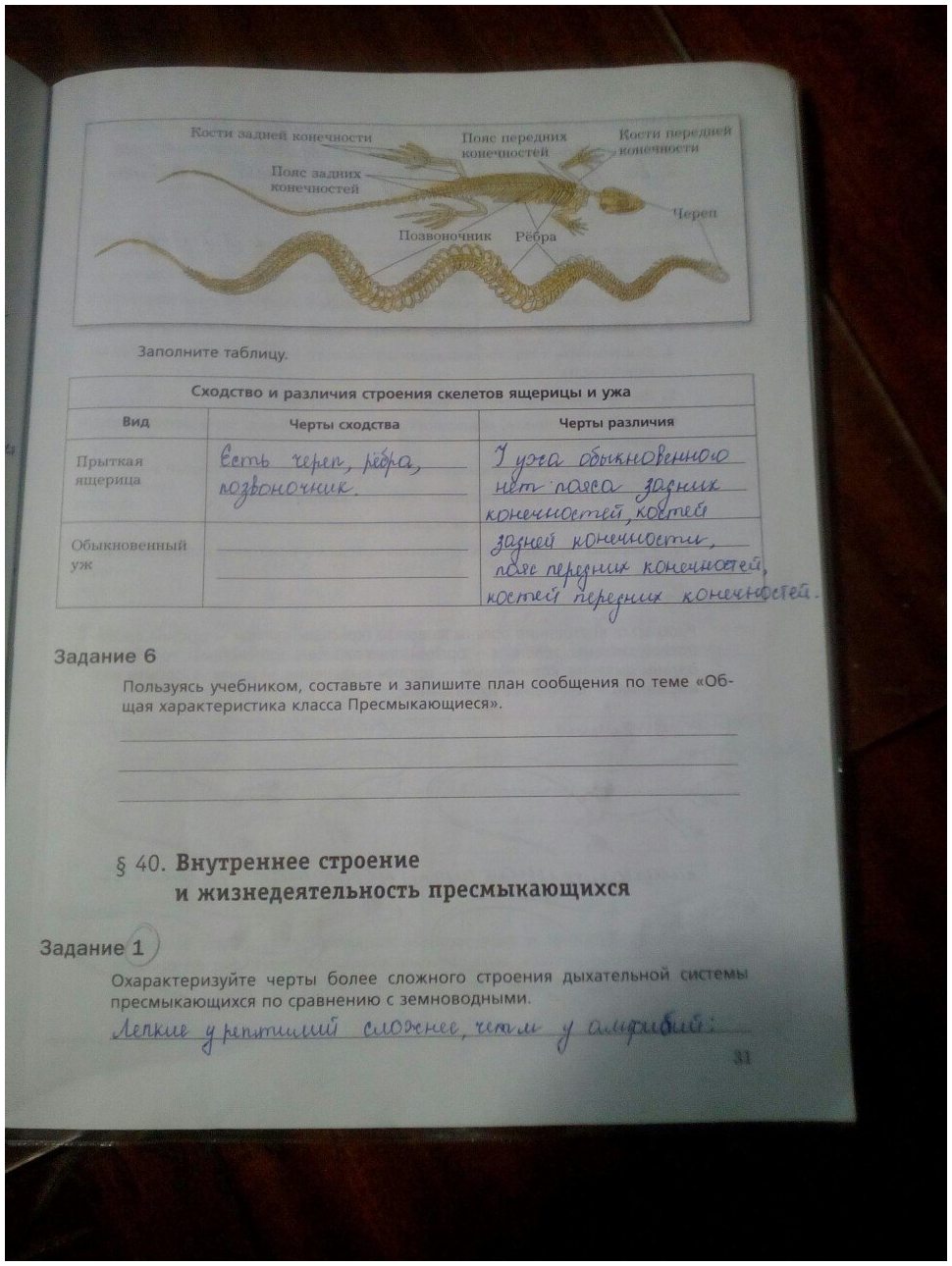 гдз 7 класс рабочая тетрадь часть 2 страница 31 биология Суматохин, Кучменко