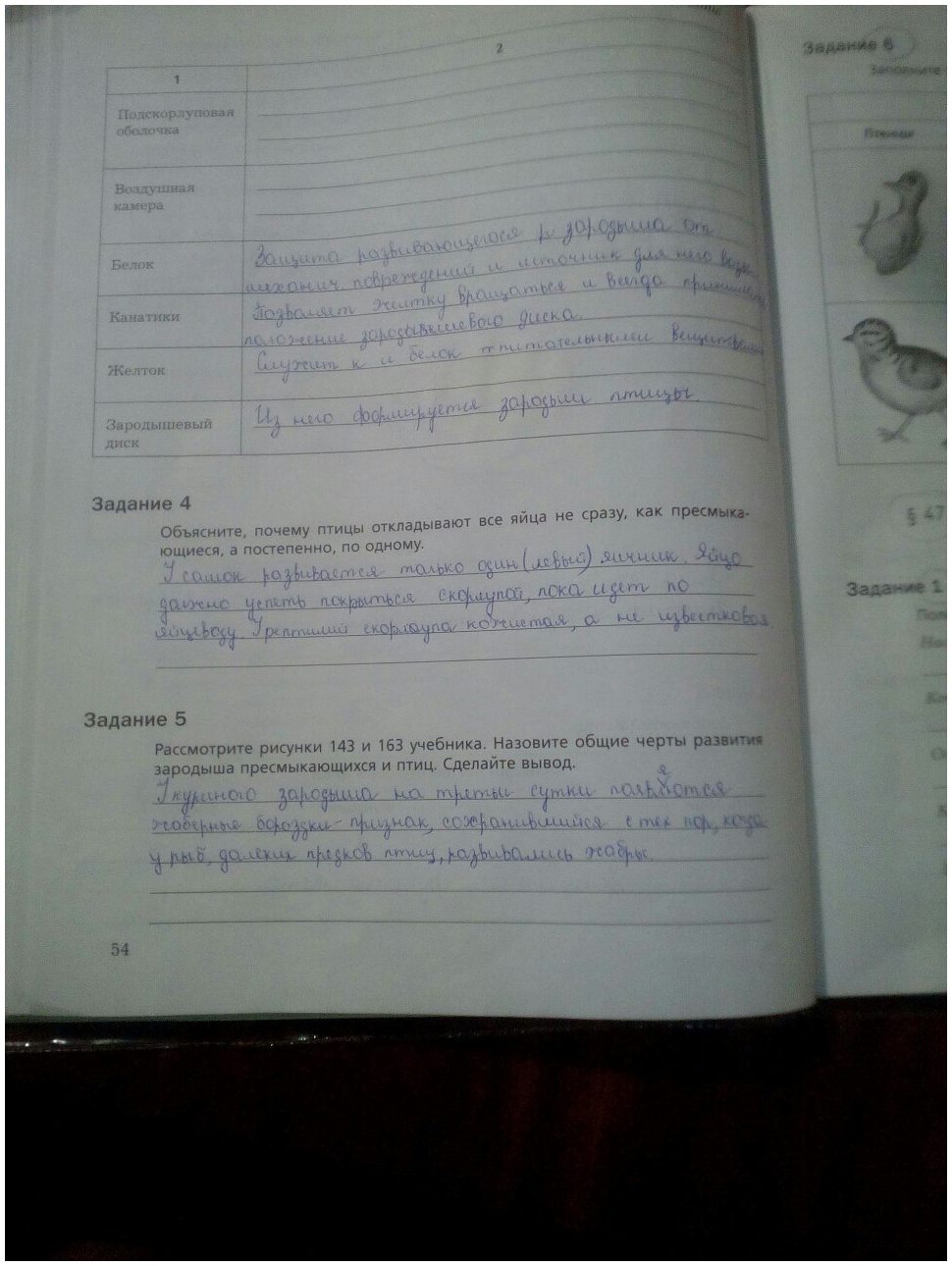 гдз 7 класс рабочая тетрадь часть 2 страница 54 биология Суматохин, Кучменко
