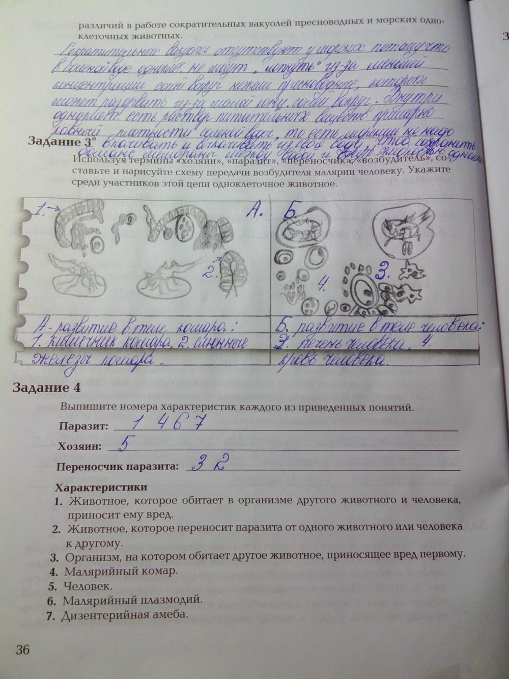 гдз 7 класс рабочая тетрадь часть 1 страница 36 биология Суматохин, Кучменко