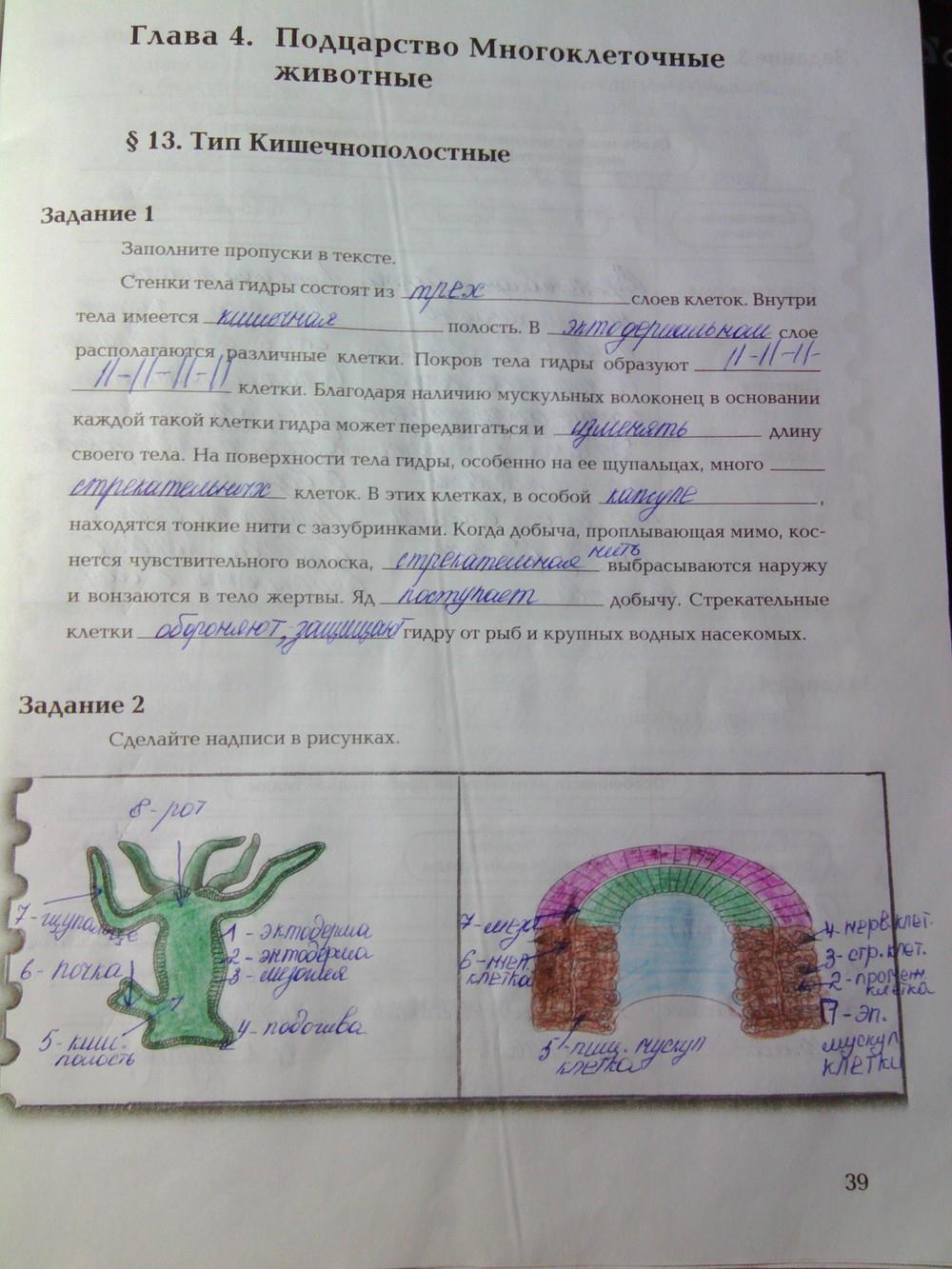 гдз 7 класс рабочая тетрадь часть 1 страница 39 биология Суматохин, Кучменко