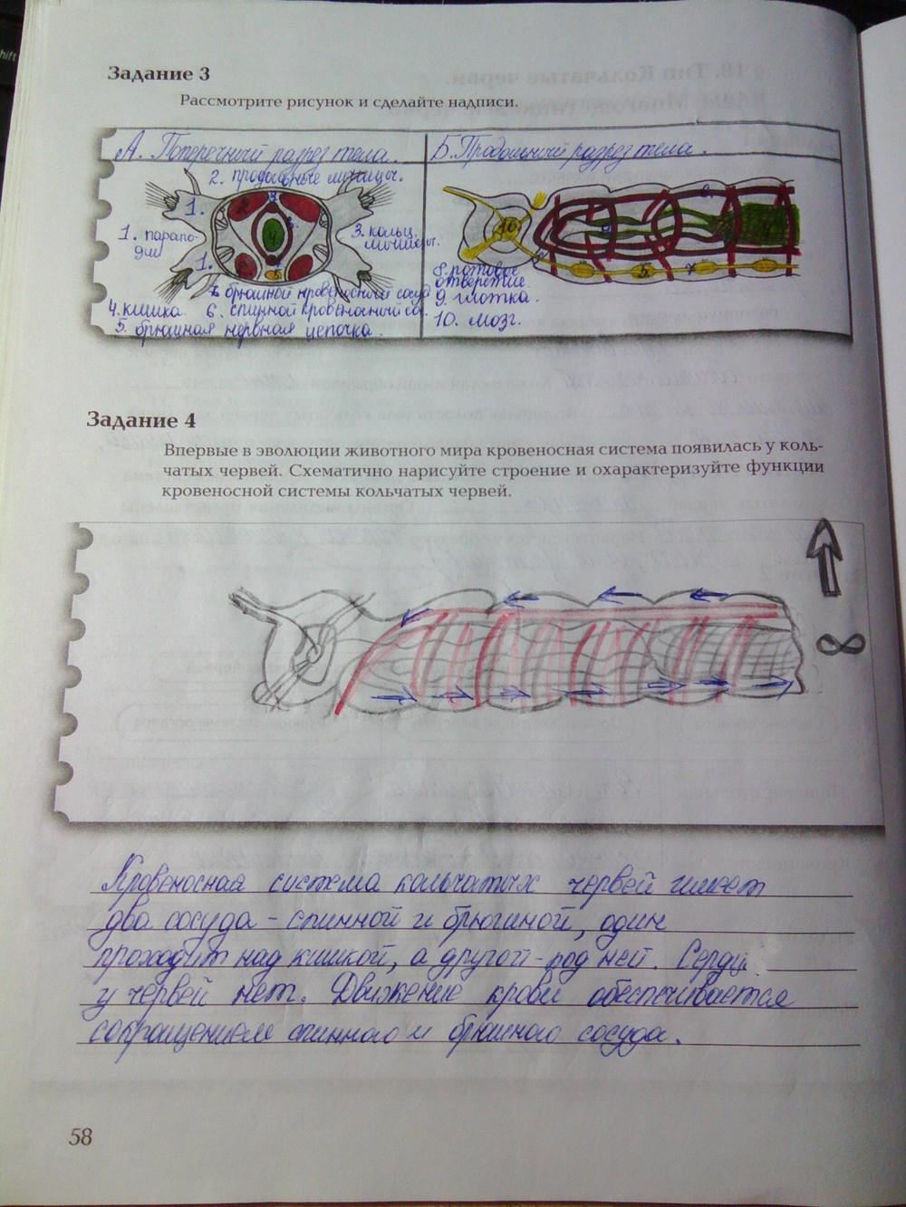 гдз 7 класс рабочая тетрадь часть 1 страница 58 биология Суматохин, Кучменко