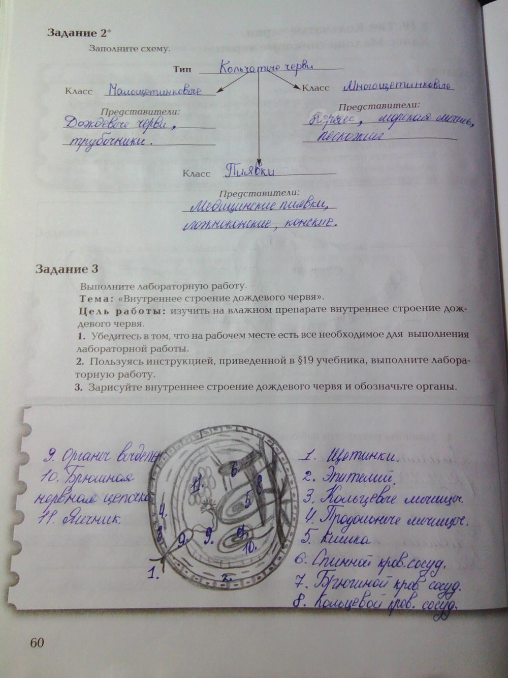 гдз 7 класс рабочая тетрадь часть 1 страница 60 биология Суматохин, Кучменко