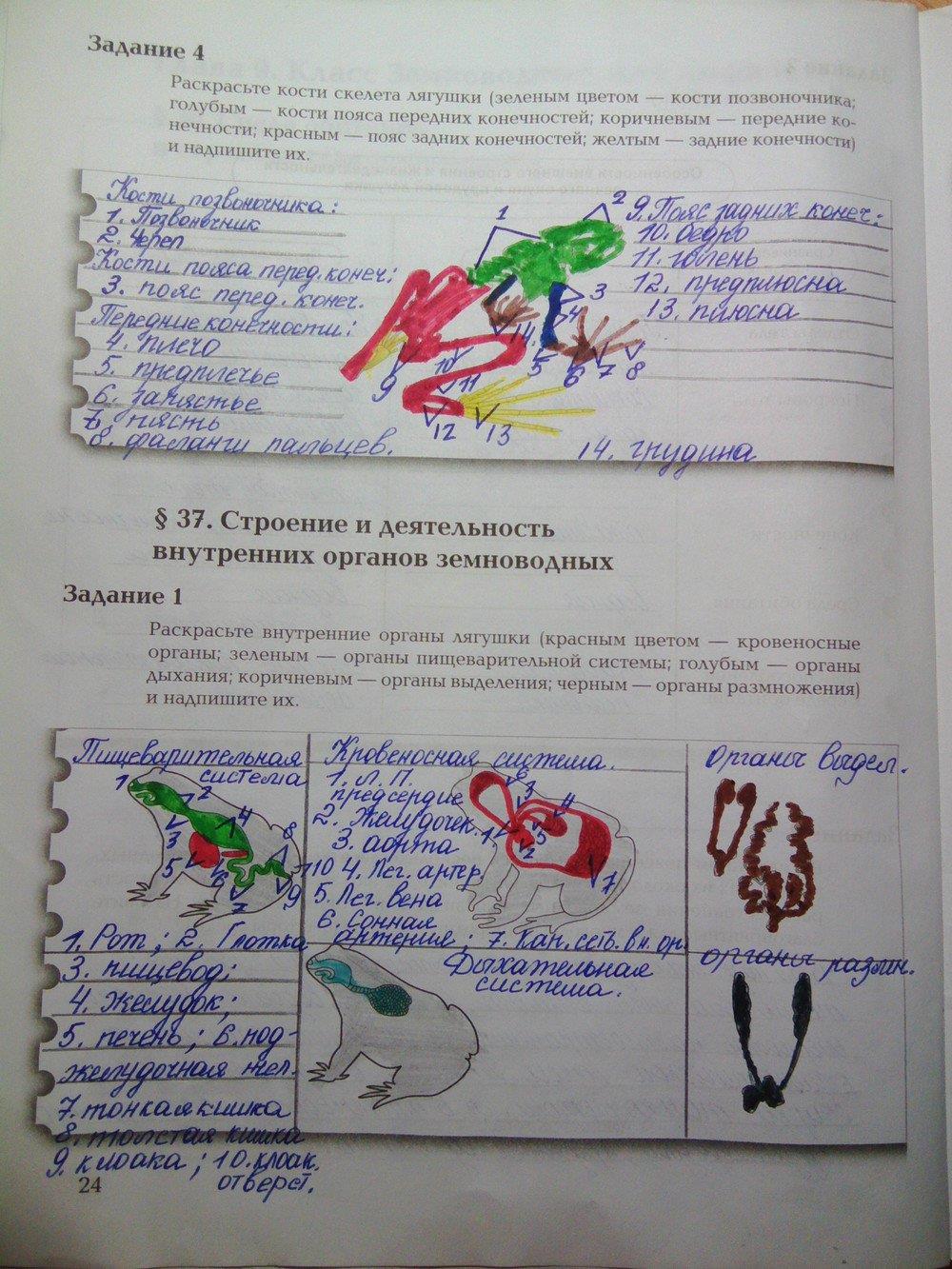 гдз 7 класс рабочая тетрадь часть 2 страница 24 биология Суматохин, Кучменко