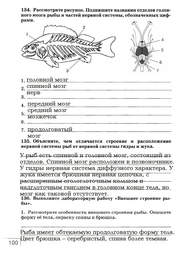 гдз 7 класс рабочая тетрадь страница 100 биология Захаров, Сонин