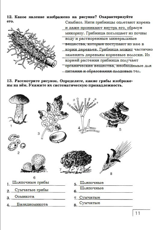 гдз 7 класс рабочая тетрадь страница 11 биология Захаров, Сонин