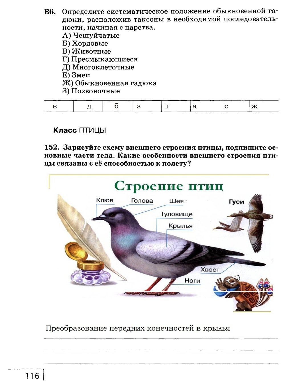 гдз 7 класс рабочая тетрадь страница 116 биология Захаров, Сонин