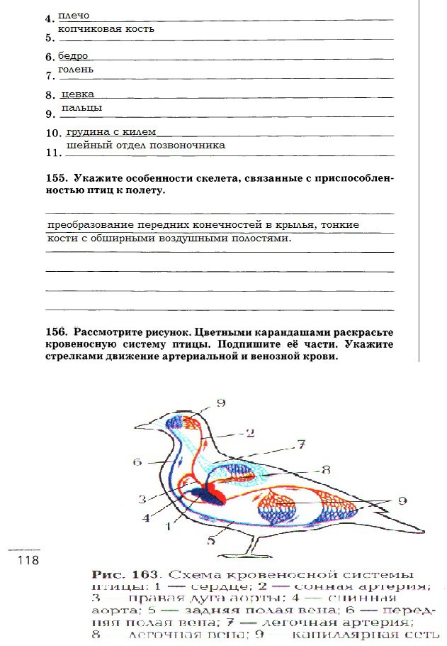 гдз 7 класс рабочая тетрадь страница 118 биология Захаров, Сонин