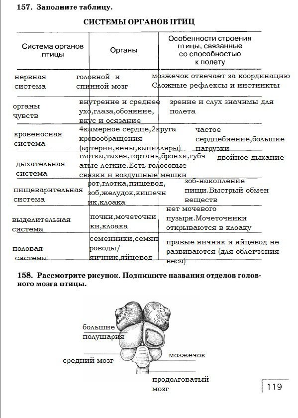 гдз 7 класс рабочая тетрадь страница 119 биология Захаров, Сонин