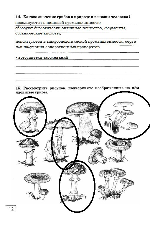 гдз 7 класс рабочая тетрадь страница 12 биология Захаров, Сонин