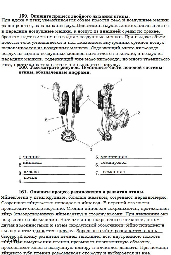 гдз 7 класс рабочая тетрадь страница 120 биология Захаров, Сонин