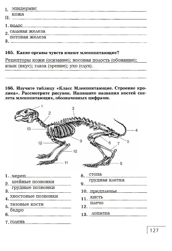 гдз 7 класс рабочая тетрадь страница 127 биология Захаров, Сонин