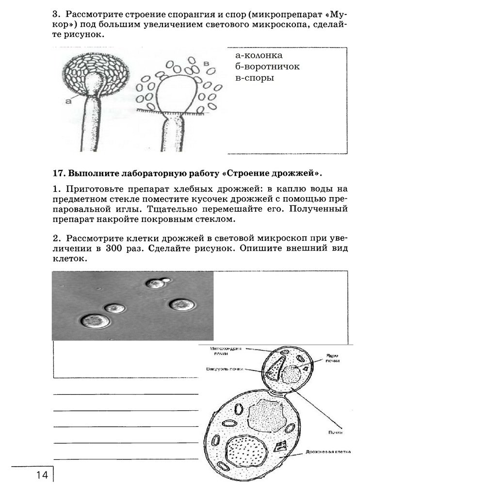 гдз 7 класс рабочая тетрадь страница 14 биология Захаров, Сонин