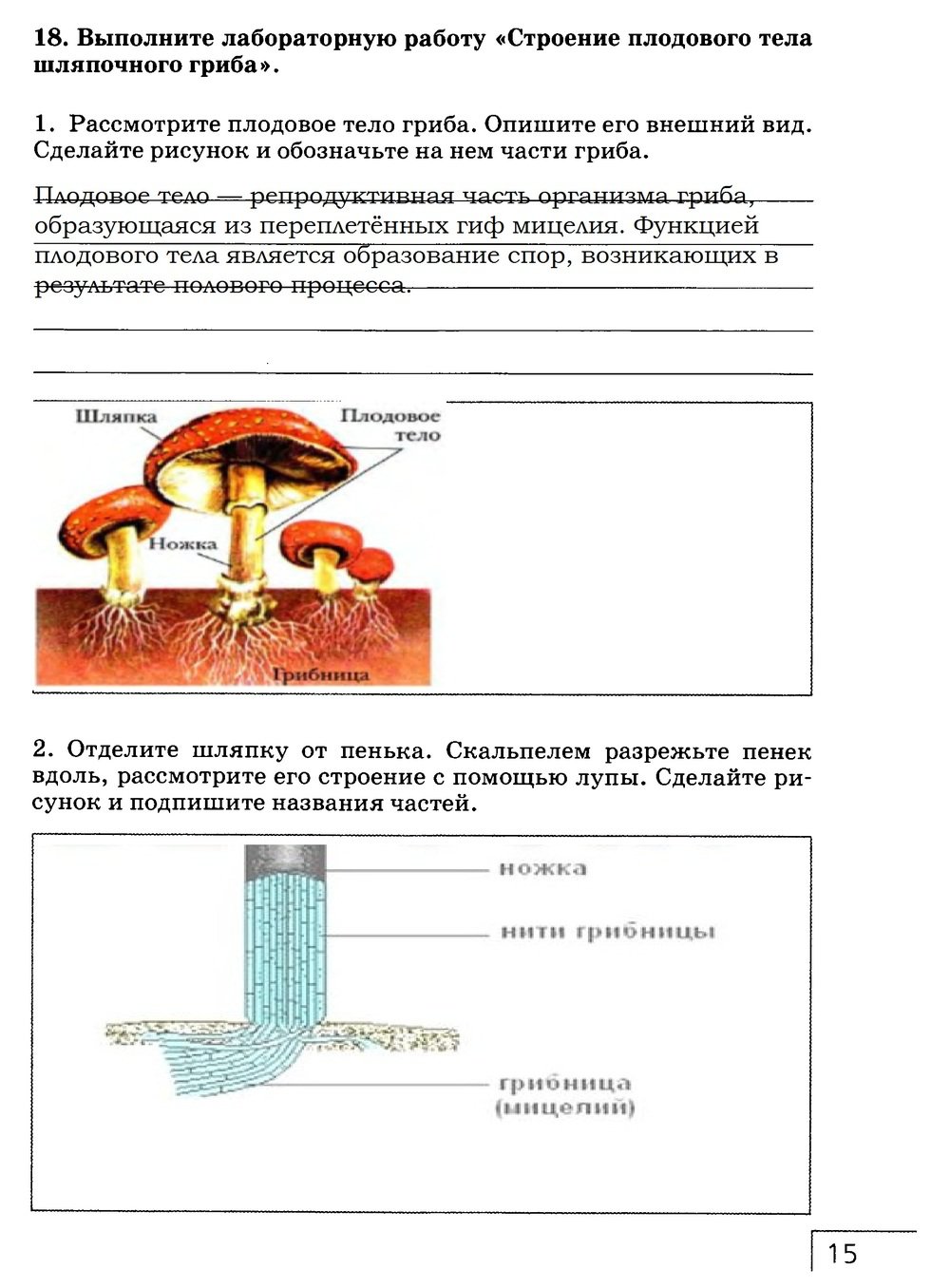гдз 7 класс рабочая тетрадь страница 15 биология Захаров, Сонин
