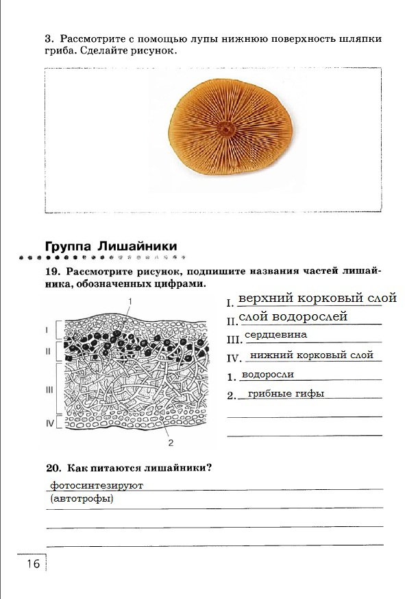гдз 7 класс рабочая тетрадь страница 16 биология Захаров, Сонин