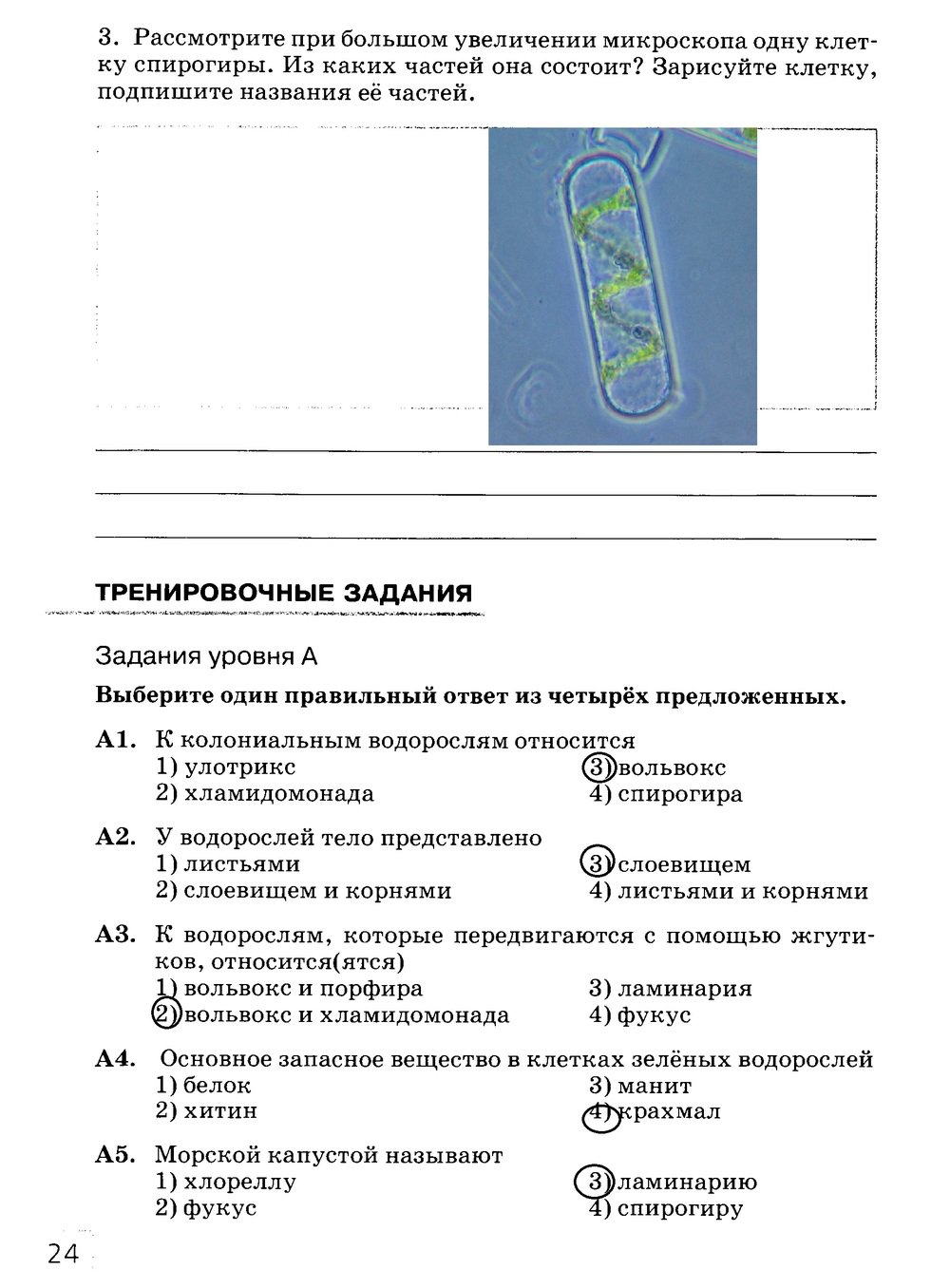 гдз 7 класс рабочая тетрадь страница 24 биология Захаров, Сонин