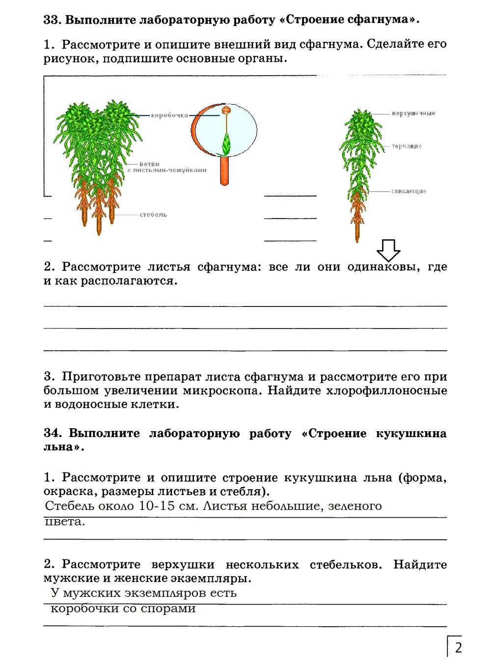 гдз 7 класс рабочая тетрадь страница 27 биология Захаров, Сонин