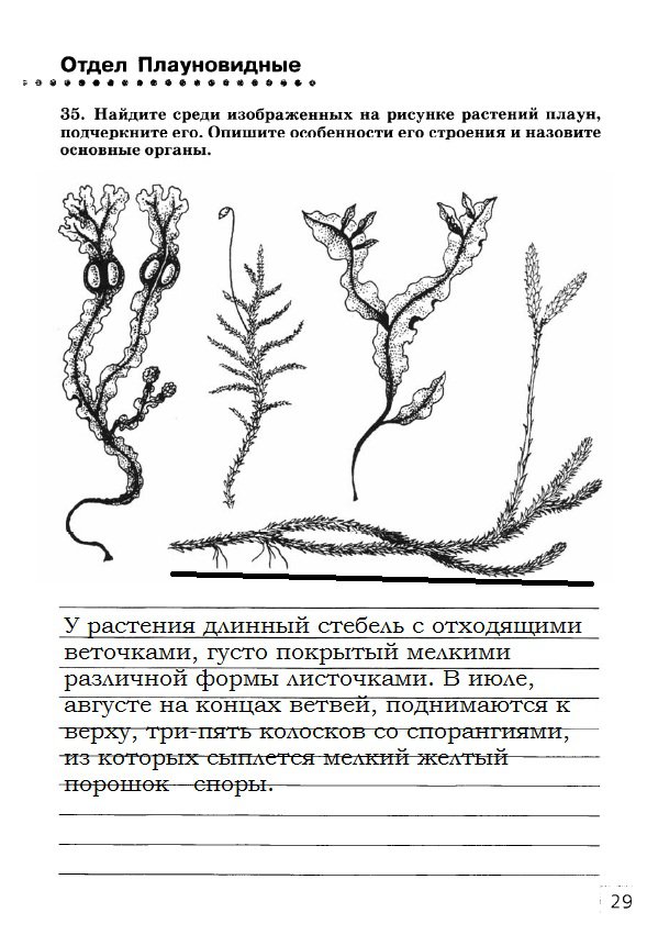 гдз 7 класс рабочая тетрадь страница 29 биология Захаров, Сонин