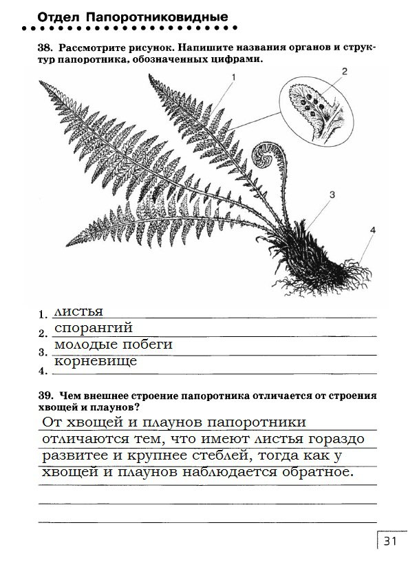 гдз 7 класс рабочая тетрадь страница 31 биология Захаров, Сонин