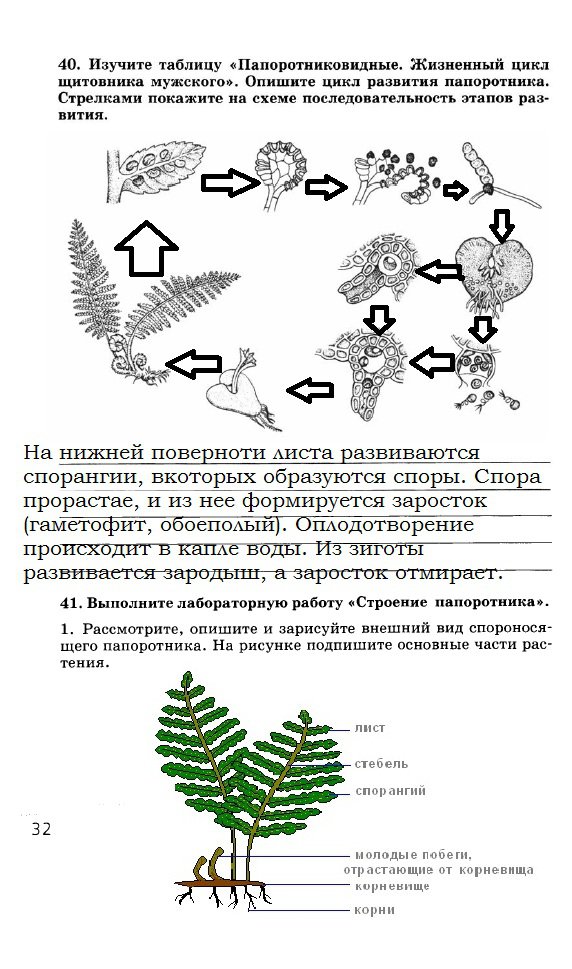 гдз 7 класс рабочая тетрадь страница 32 биология Захаров, Сонин