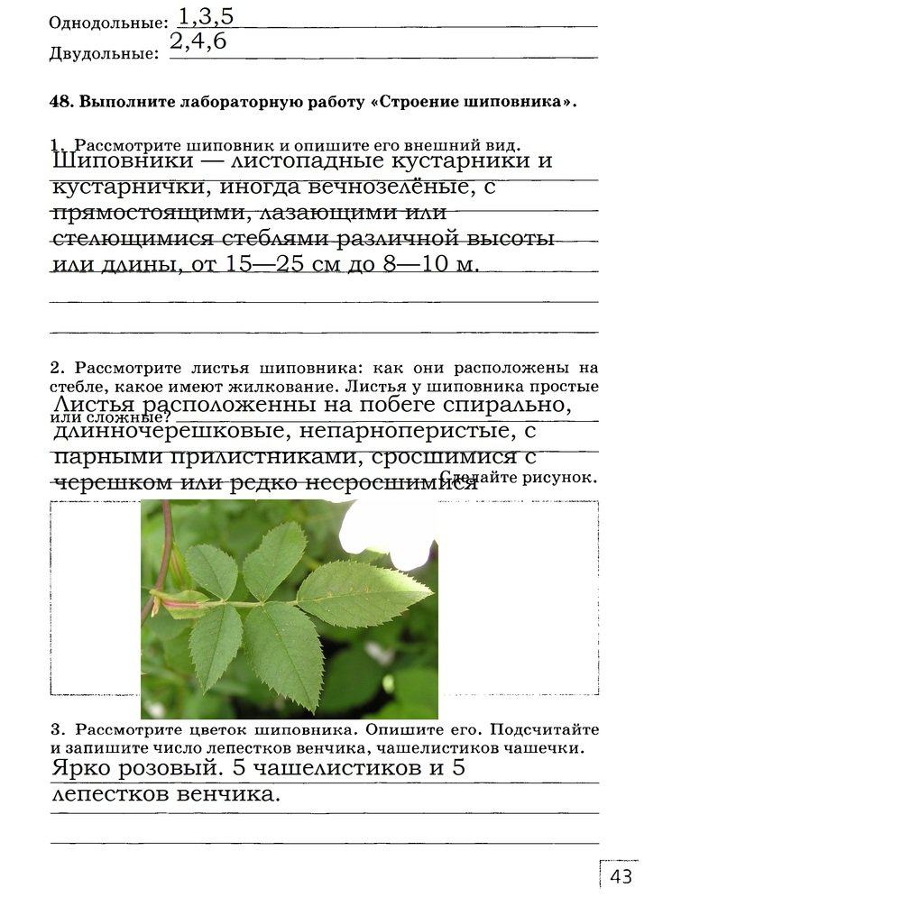 гдз 7 класс рабочая тетрадь страница 43 биология Захаров, Сонин