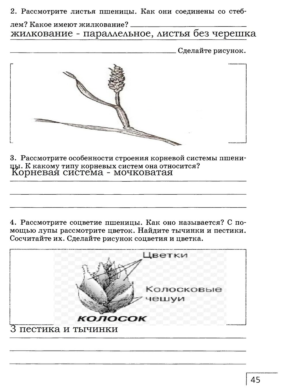 гдз 7 класс рабочая тетрадь страница 45 биология Захаров, Сонин