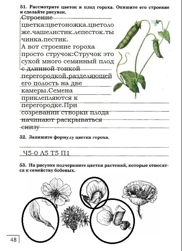 гдз 7 класс рабочая тетрадь страница 48 биология Захаров, Сонин