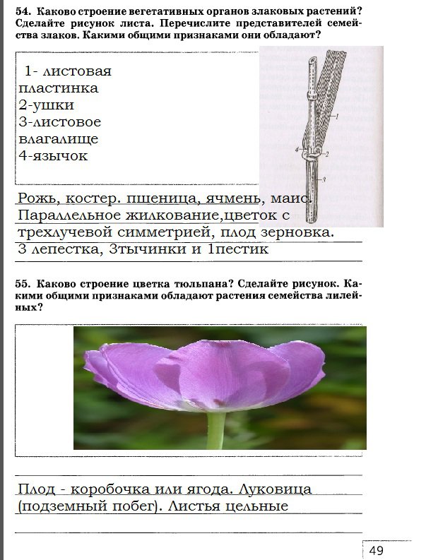 гдз 7 класс рабочая тетрадь страница 49 биология Захаров, Сонин