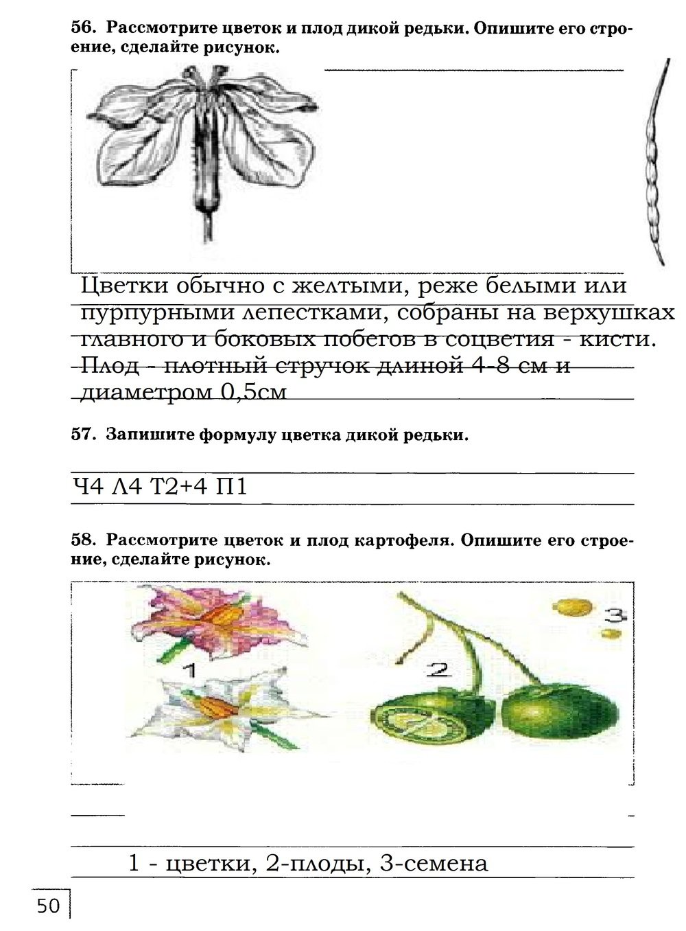 гдз 7 класс рабочая тетрадь страница 50 биология Захаров, Сонин