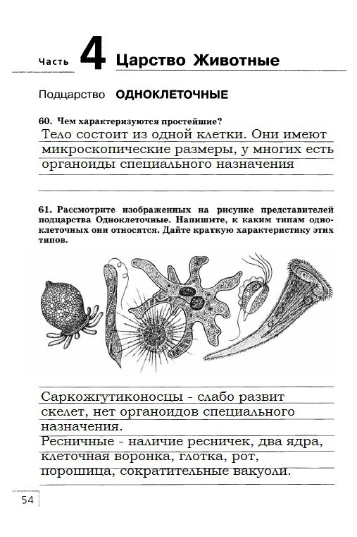 гдз 7 класс рабочая тетрадь страница 54 биология Захаров, Сонин