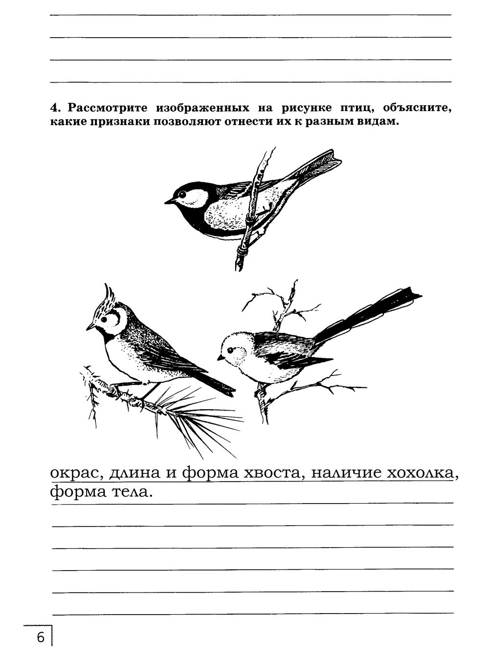Рассмотрите изображенные на рисунке птиц