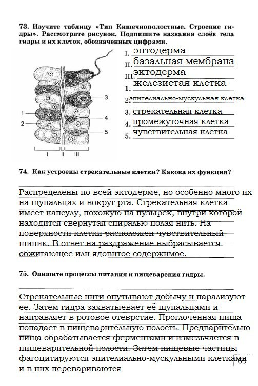 гдз 7 класс рабочая тетрадь страница 63 биология Захаров, Сонин