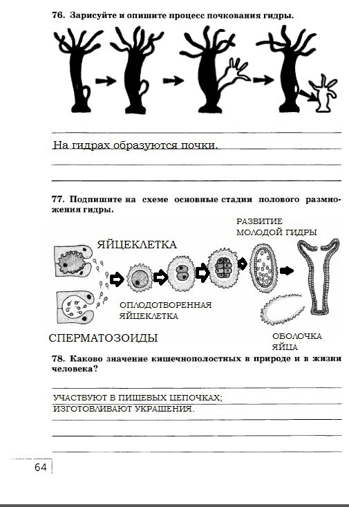 гдз 7 класс рабочая тетрадь страница 64 биология Захаров, Сонин