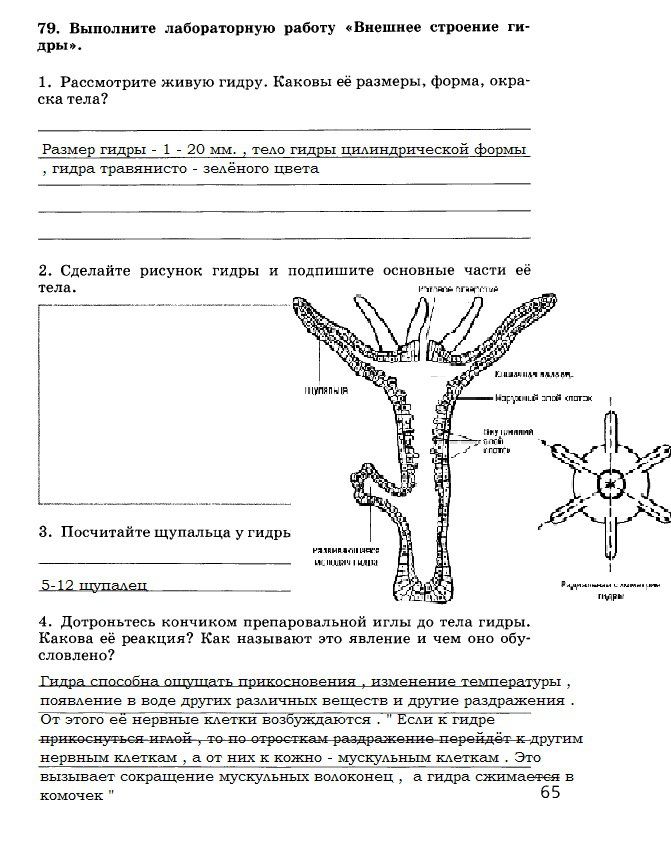 гдз 7 класс рабочая тетрадь страница 65 биология Захаров, Сонин
