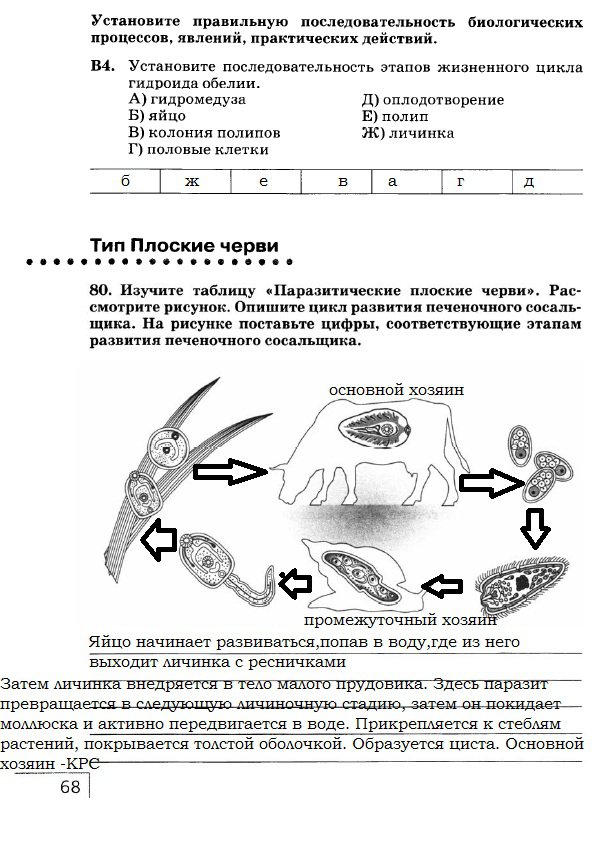 гдз 7 класс рабочая тетрадь страница 68 биология Захаров, Сонин