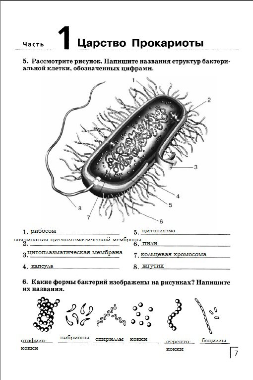 гдз 7 класс рабочая тетрадь страница 7 биология Захаров, Сонин