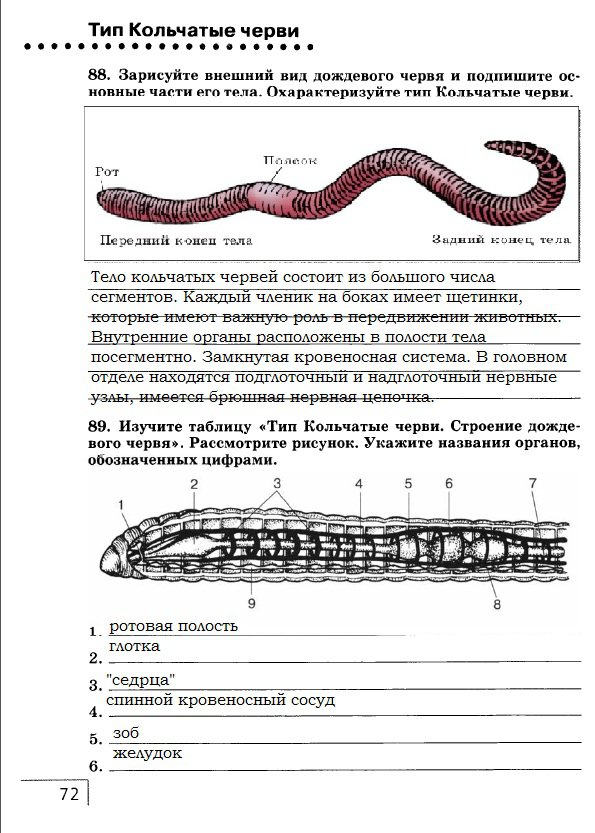 гдз 7 класс рабочая тетрадь страница 72 биология Захаров, Сонин