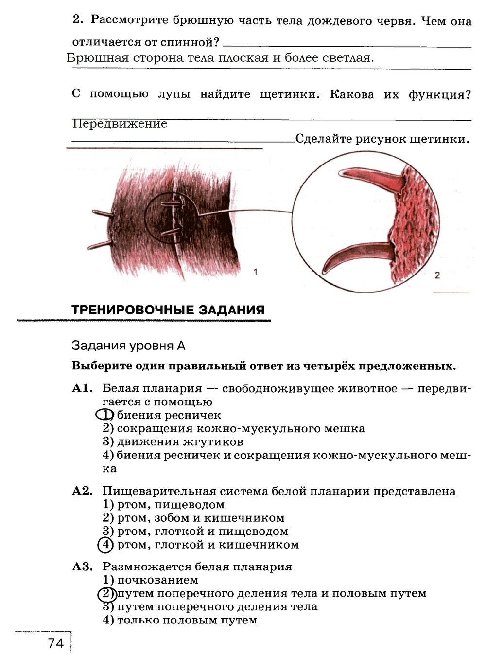 гдз 7 класс рабочая тетрадь страница 74 биология Захаров, Сонин