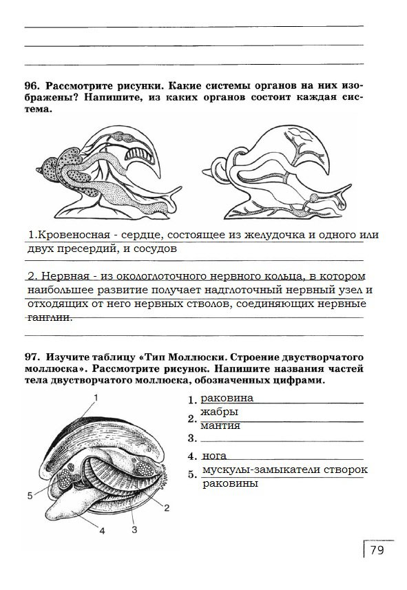 гдз 7 класс рабочая тетрадь страница 79 биология Захаров, Сонин