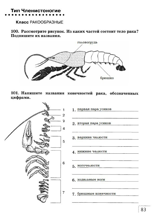 гдз 7 класс рабочая тетрадь страница 83 биология Захаров, Сонин