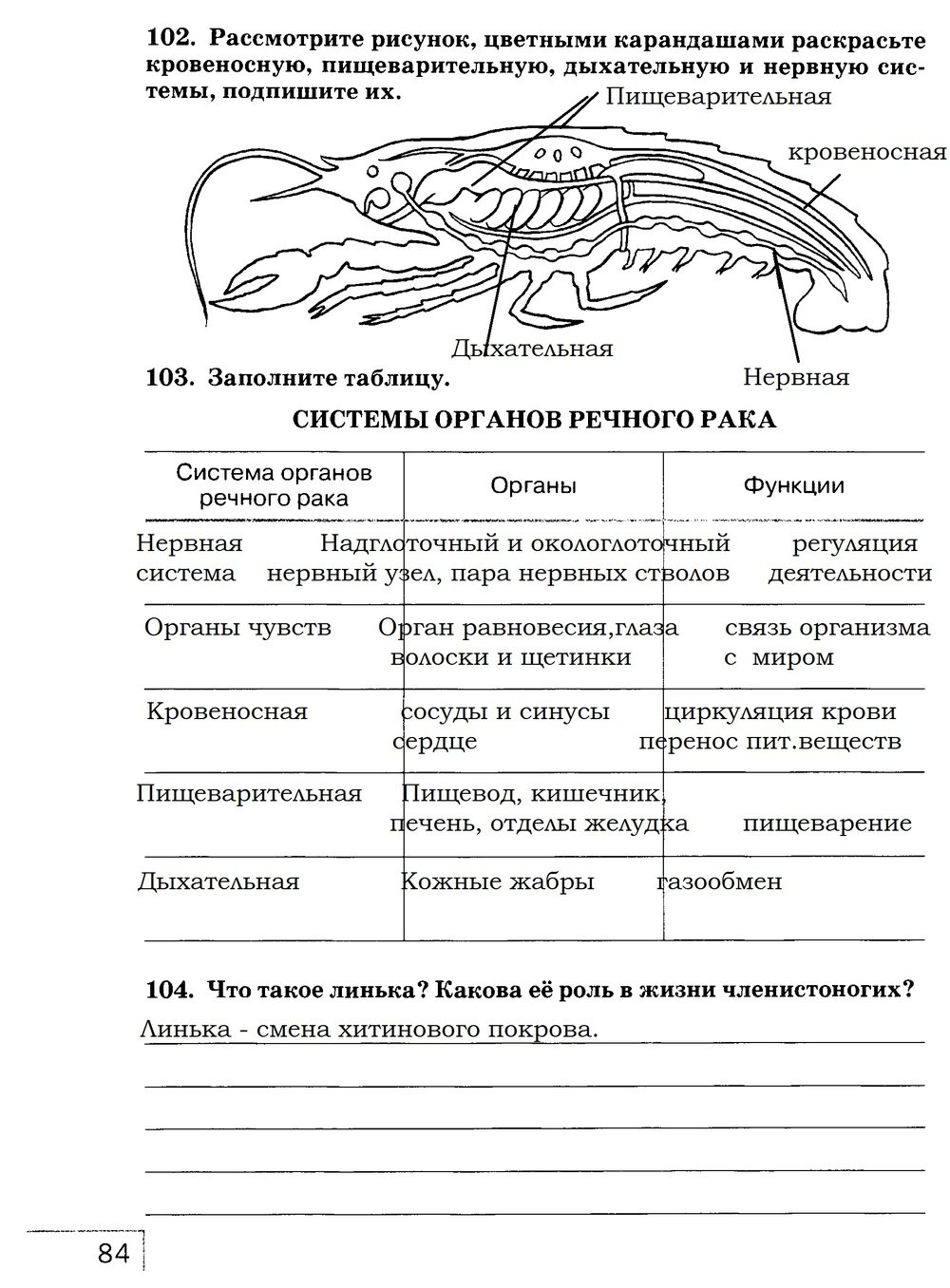 гдз 7 класс рабочая тетрадь страница 84 биология Захаров, Сонин