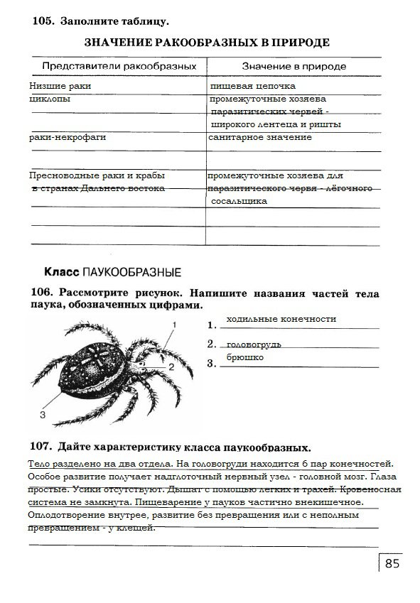 гдз 7 класс рабочая тетрадь страница 85 биология Захаров, Сонин