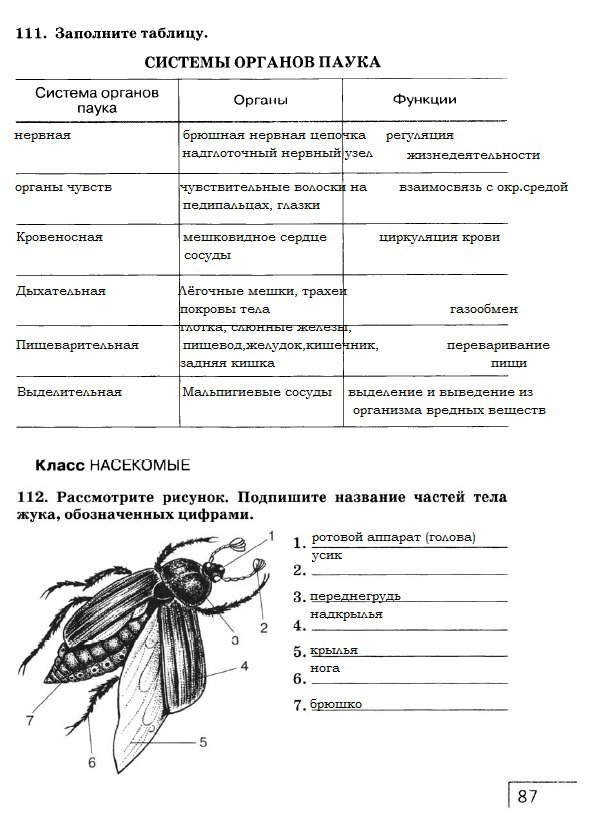 гдз 7 класс рабочая тетрадь страница 87 биология Захаров, Сонин