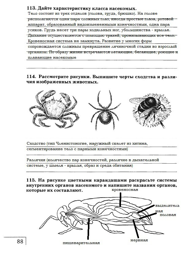 гдз 7 класс рабочая тетрадь страница 88 биология Захаров, Сонин