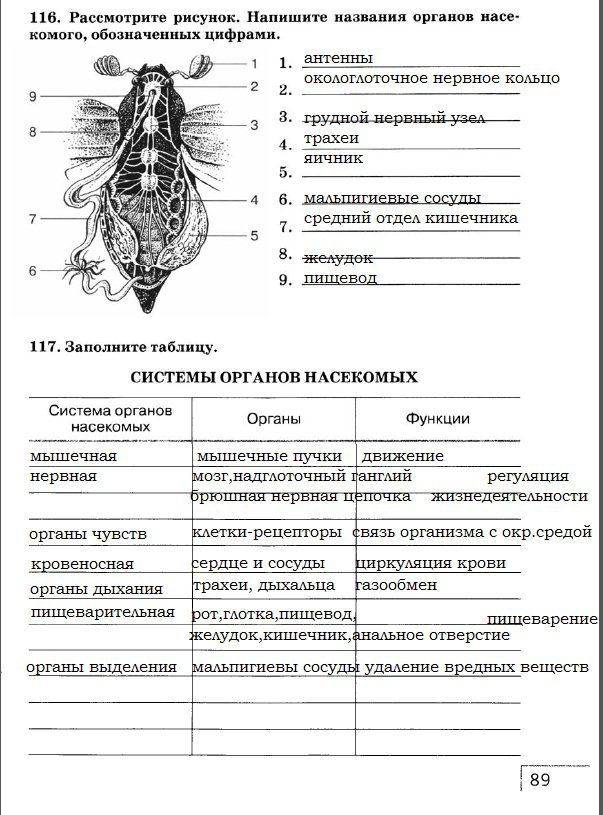 гдз 7 класс рабочая тетрадь страница 89 биология Захаров, Сонин