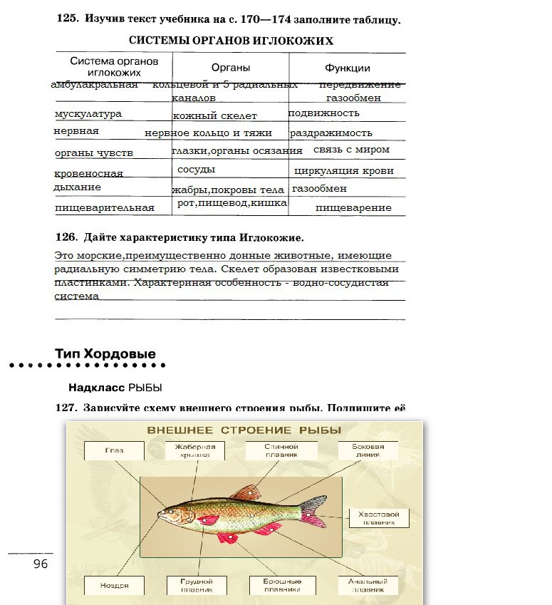 гдз 7 класс рабочая тетрадь страница 96 биология Захаров, Сонин