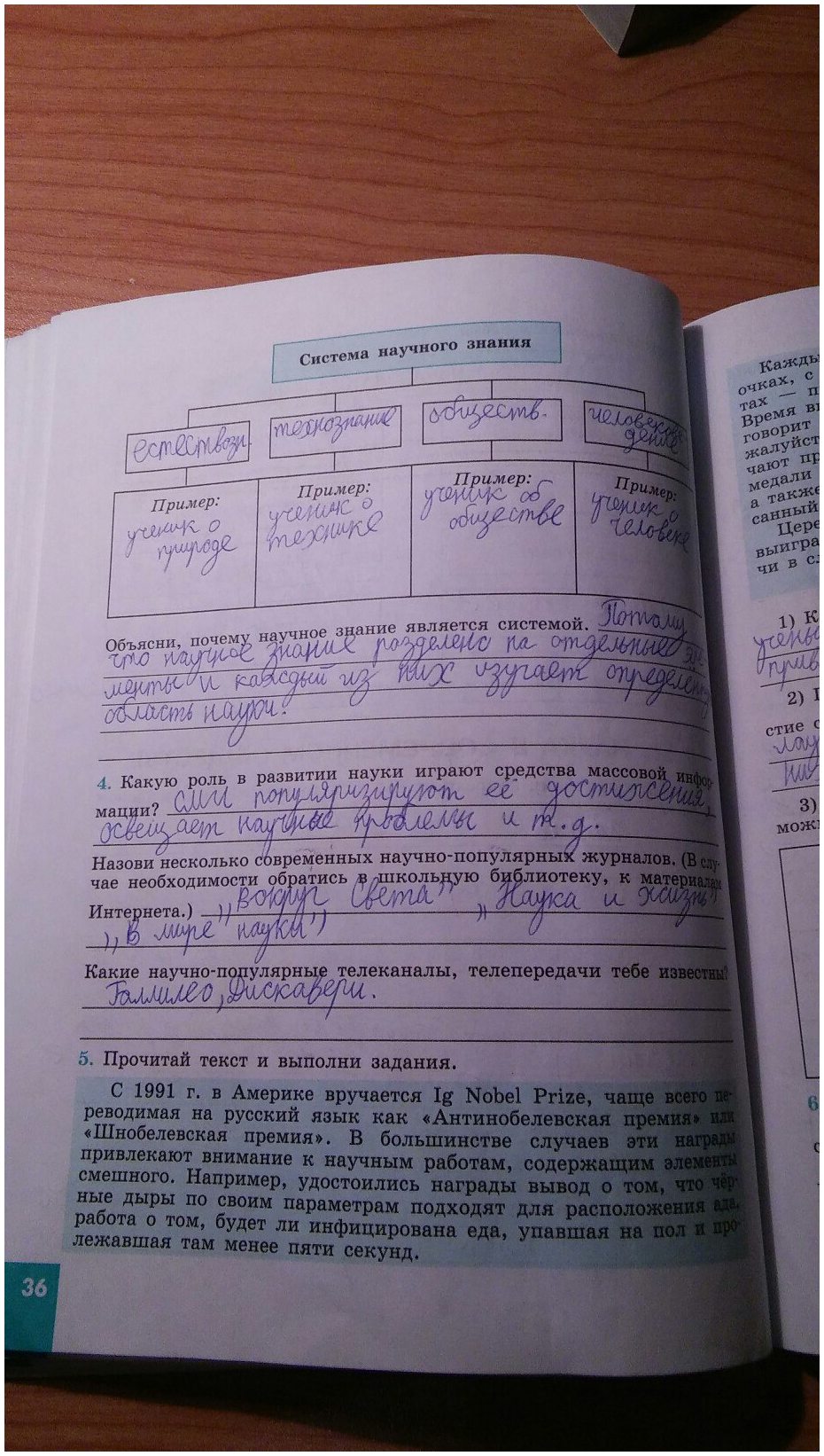 гдз 8 класс рабочая тетрадь страница 36 обществознание Котова, Лискова